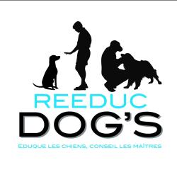 Reeducdog's