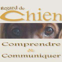 Regard De Chien - Comportementaliste