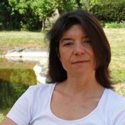 Reiki Origines