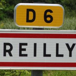 Reilly
