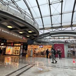 Relay Gare De Chessy Tgv