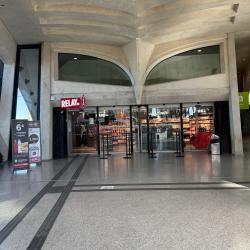 Relay Gare De Lyon St Exupéry Tgv