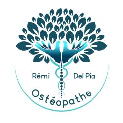 Rémi Del Pia