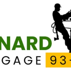 Renard, élagueur 77