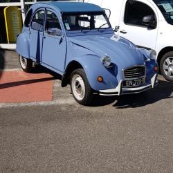 Renault Loddo Jean-michel - Castelginest