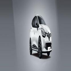 Renault Bls Auto