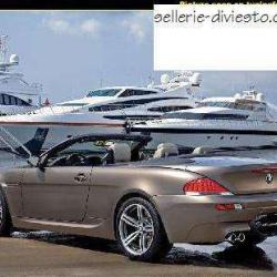 Sellerie Diviesto
