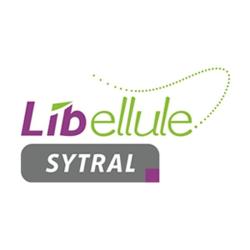 Libellule