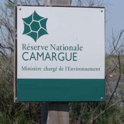 Réserve Nationale De Camargue
