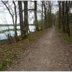 Réserve Naturelle De L'etang Des Landes