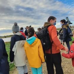 Reserve Naturelle De Lilleau Des Niges