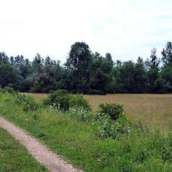 Réserve Naturelle île Du Girard