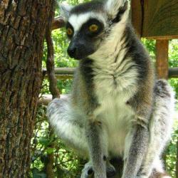 Réserve Zoologique De Calviac