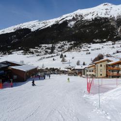 Résidence-chalet Les Mélèzes