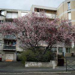 Residence Le Val Notre Dame