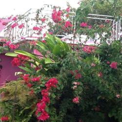Residence Madelia