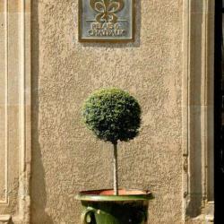 Restaurant Bernard Rigaudis