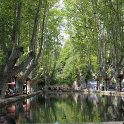 Restaurant De L'etang