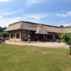 Restaurant Guinguette De La Chesnaie