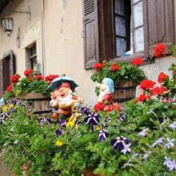 Restaurant La Taverne Rustique