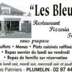 Les Bleuets