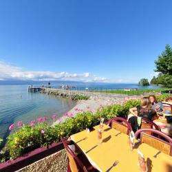 Restaurant Les Cygnes -