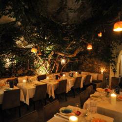 Restaurant Salama