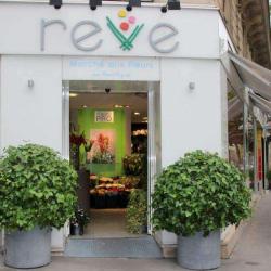 Reve Le Marche