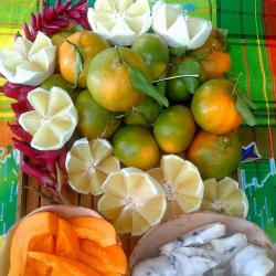 Revi Myreviholidays, Natural Spa, Wellness, Beauty & Excursions