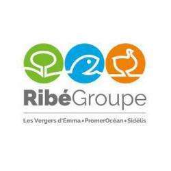 Ribégroupe