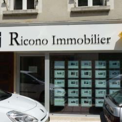Ricono Immobilier