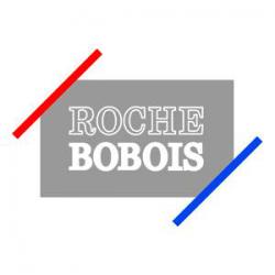 Roche Bobois