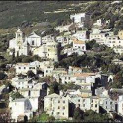 Rogliano