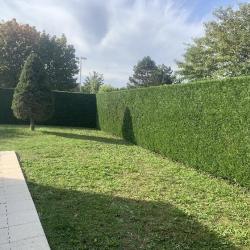 Romain - Jardinier  - Cmonjardinier