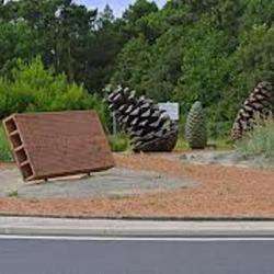 Rond-point Des Pommes De Pin