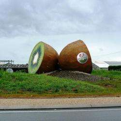 Rond-point Du Kiwi