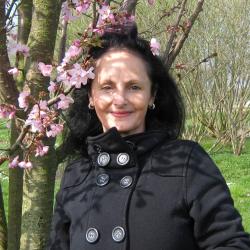 Rosa De Luces