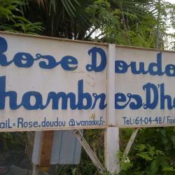 Rose Doudou