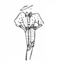 Rose Marie Couture