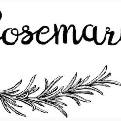 Roseramary
