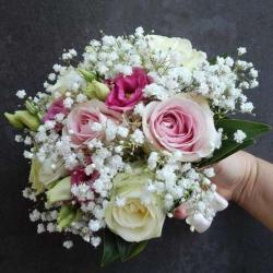 Les Roses Modernes