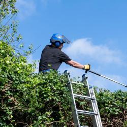 Rotherham Tree Services