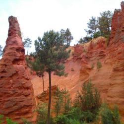 Roussillon