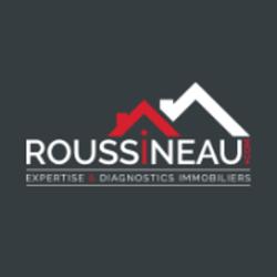 Roussineau Dominique