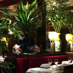 Royal Paris - Chez Ly