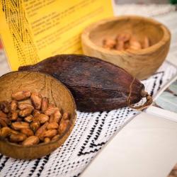 Rrraw Cacao Factory