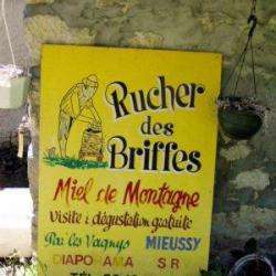 Rucher Des Briffes