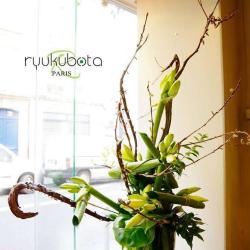 Ryukubota