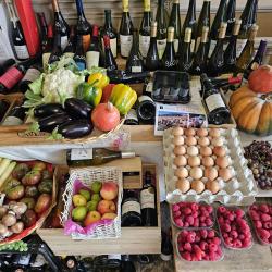 Sacrés Vins Dieux