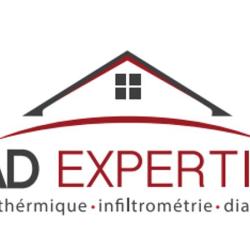 Sad Expertises